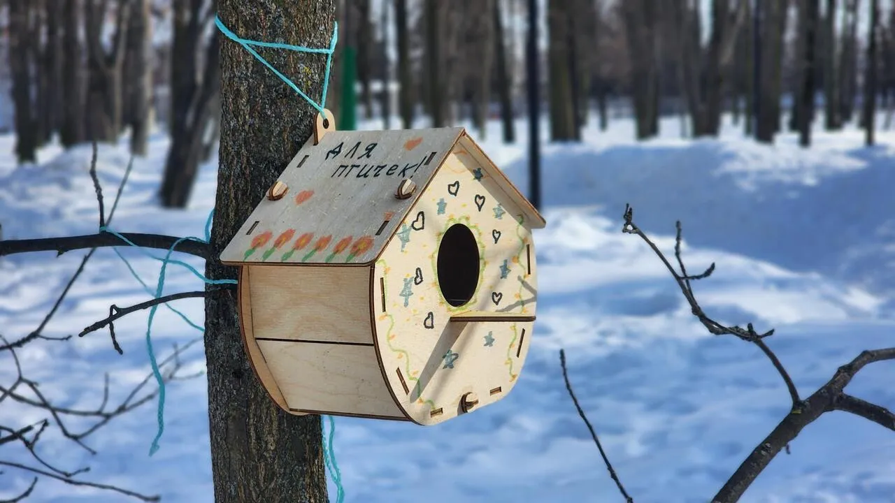 REGIONS/Валерия Тингаева