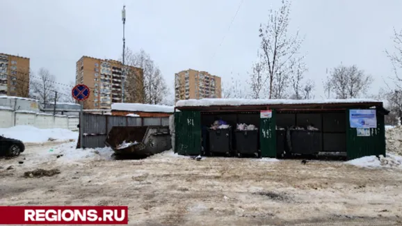 Светлана Борщева