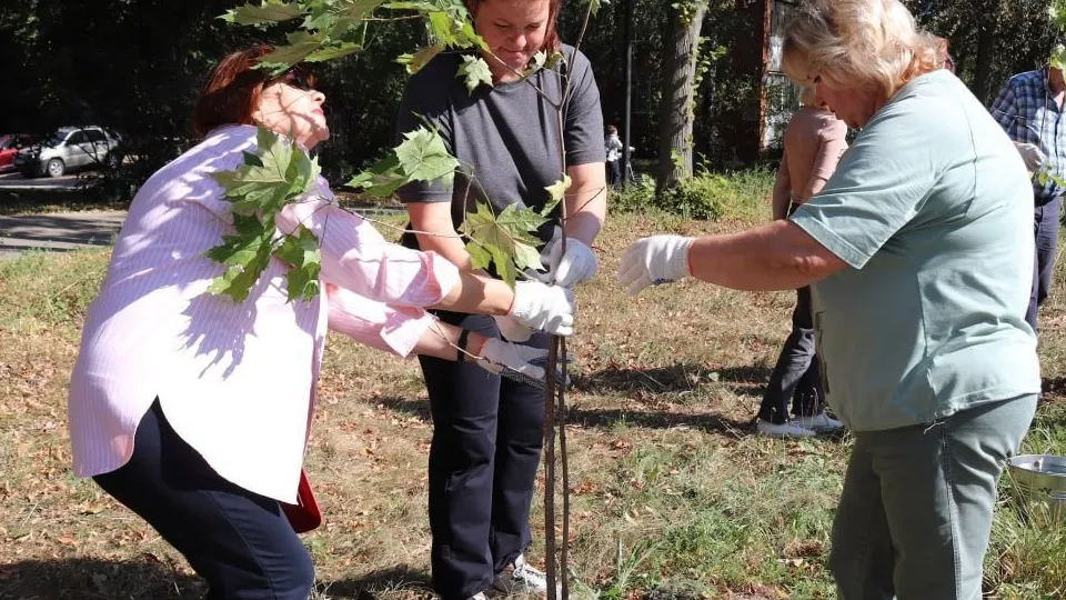Фото: пресс-служба Администрации г.о. Серпухов