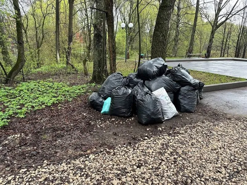 Фото:&nbsp;Минэкологии МО