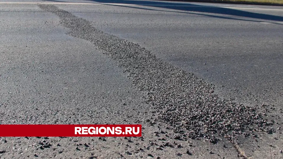 Фото: REGIONS/Василий Тремасов