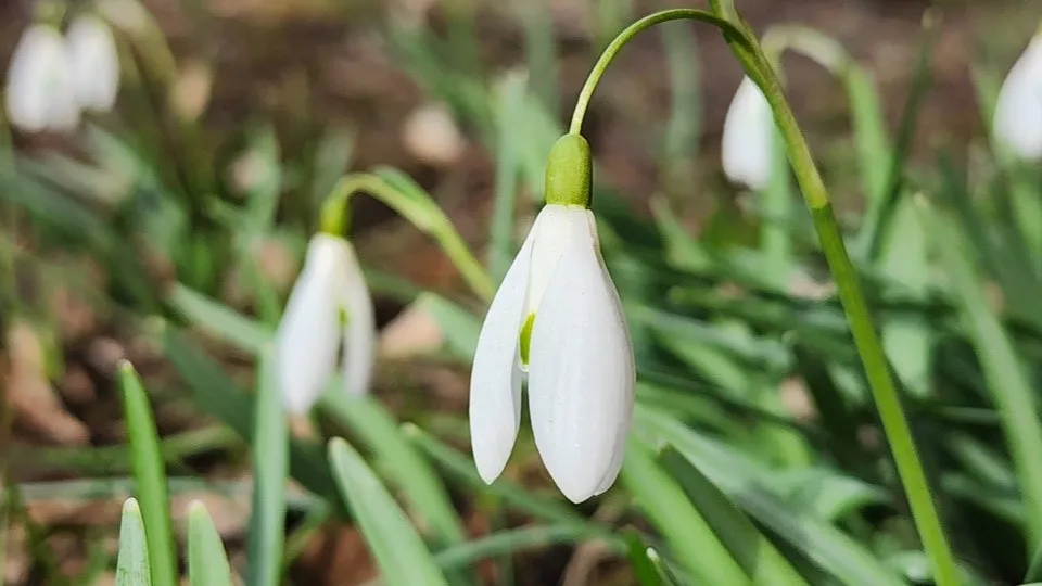 Фото: МедиаБанк Подмосковья/Ксения Пашуто