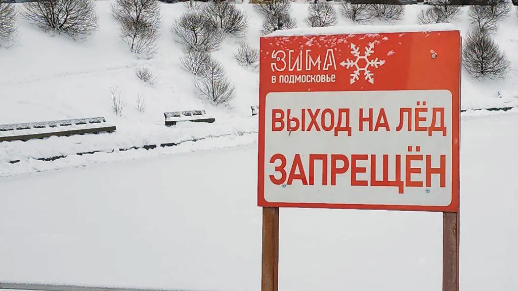 Фото: Мария Амелина