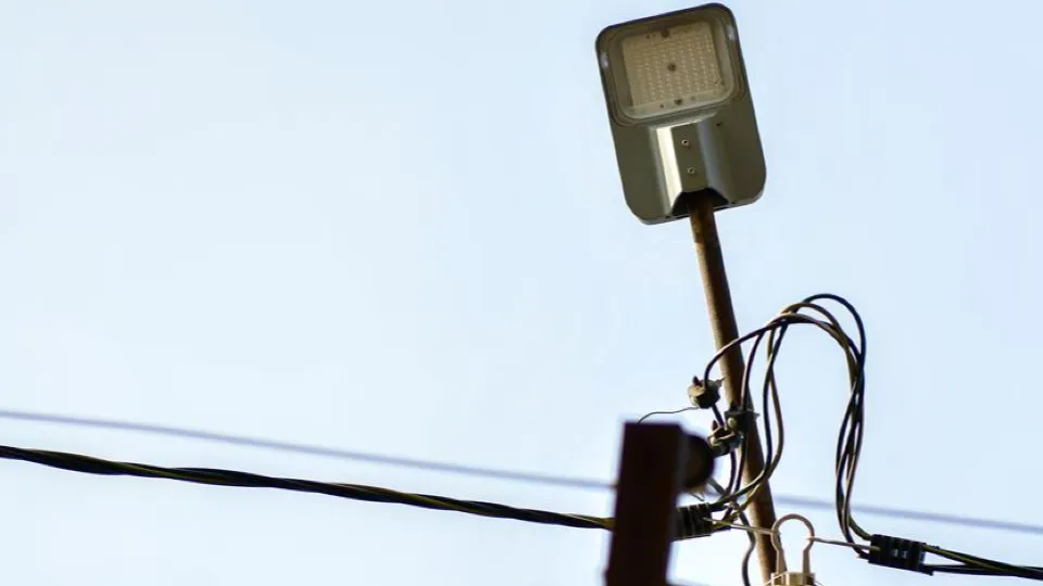 Фото: Министерство благоустройства Московской области