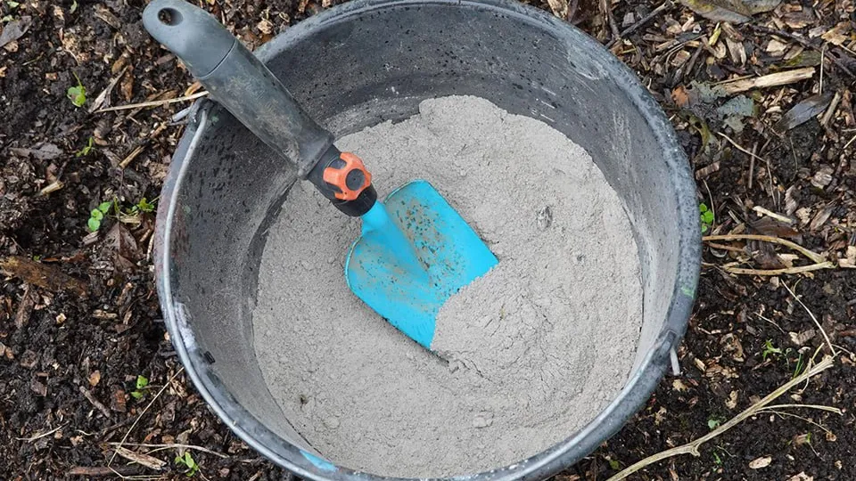 Фото: istockphoto.com