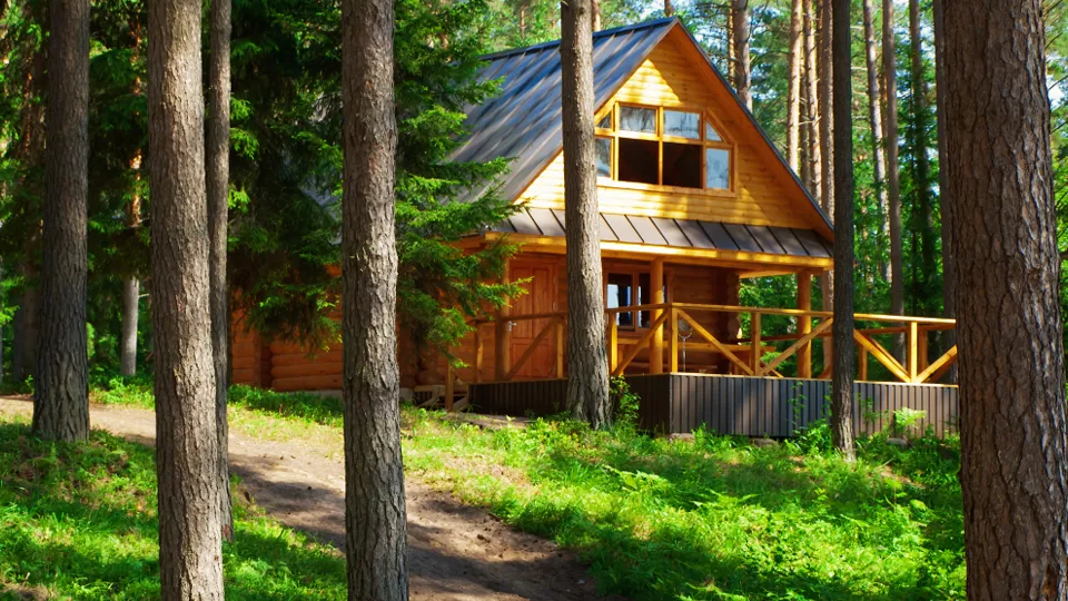 Фото: istockphoto.com