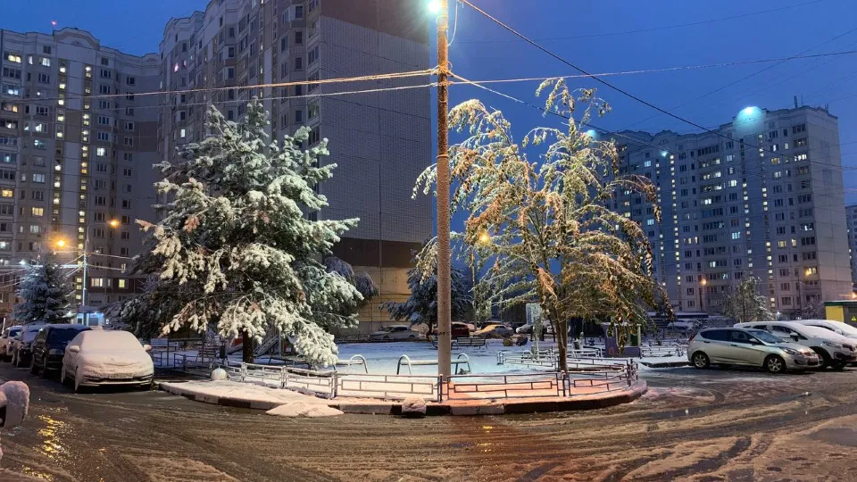 Фото: Анастасия Завертайло