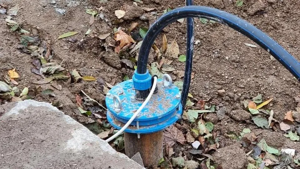 Фото: пресс-служба Министерства экологии и природопользования Московской области