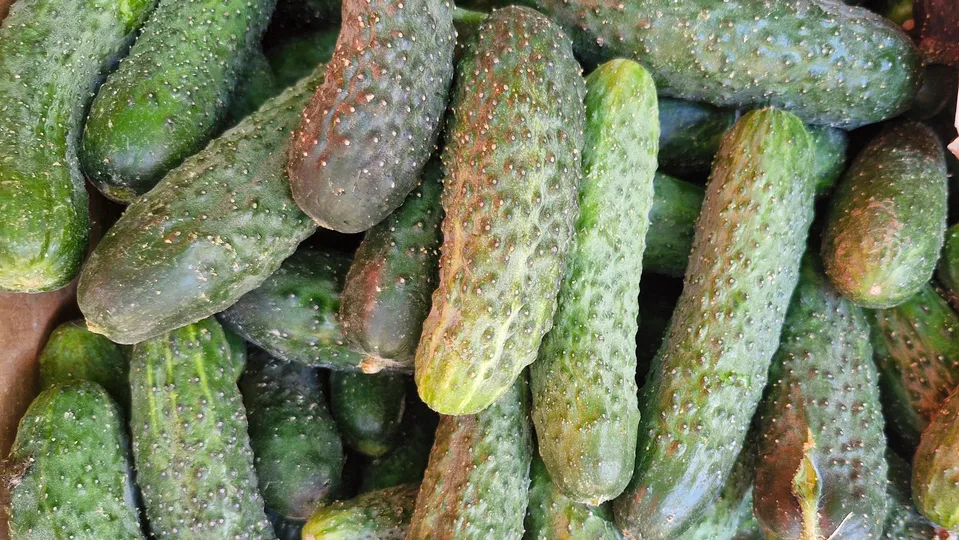 Фото: REGIONS/Наталия Надточая