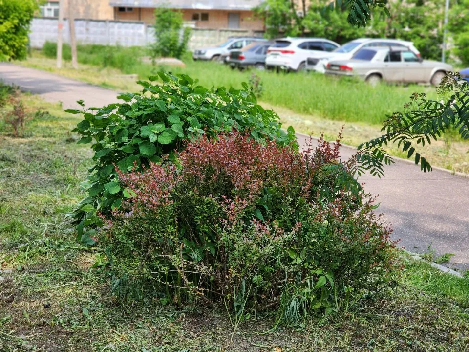 Аллея славы