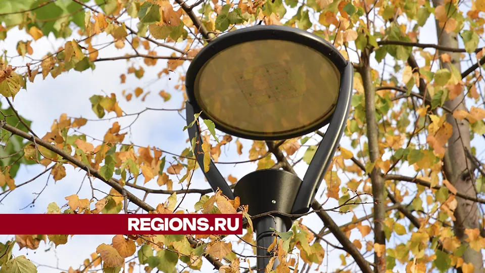 Фото: REGIONS/Наталья Бычкова