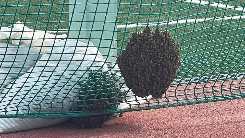 Фото: t.me/kashiratelegram1