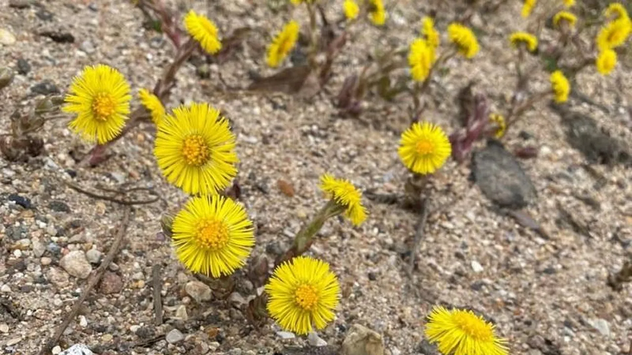 Фото: Алла Головатюк