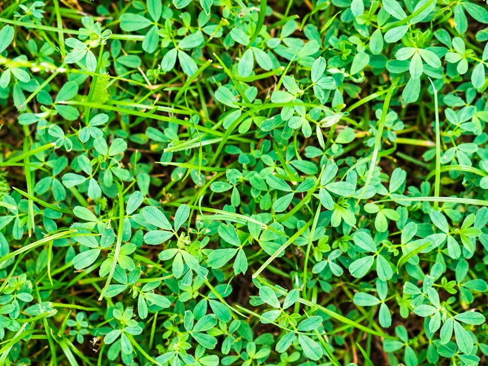 Фото: freepik.com