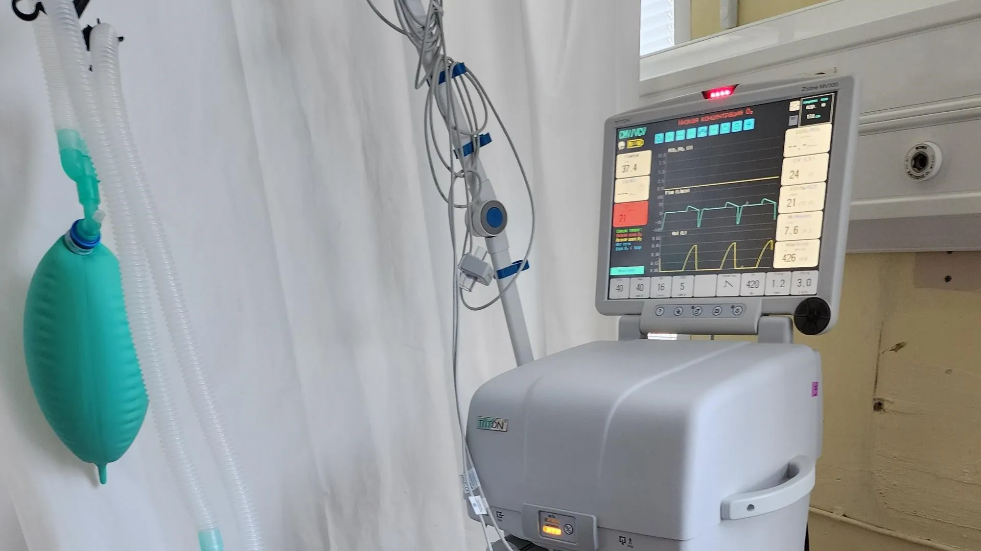 Фото: Екатерина Данилина