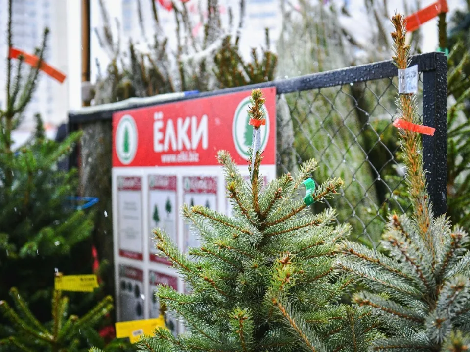 Фото: пресс-служба администрации г.о. Химки