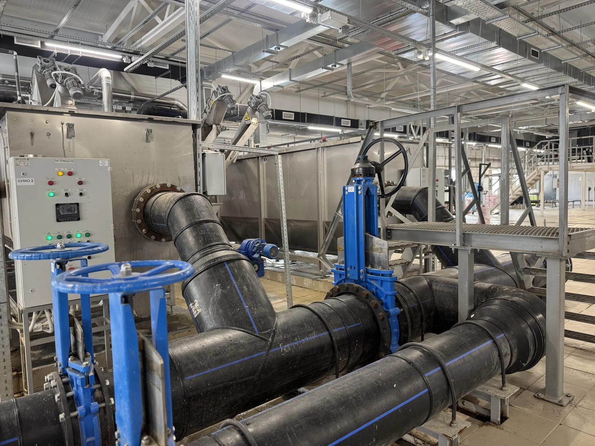 Полина Абраменко