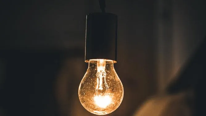 Фото: freepik.cpm