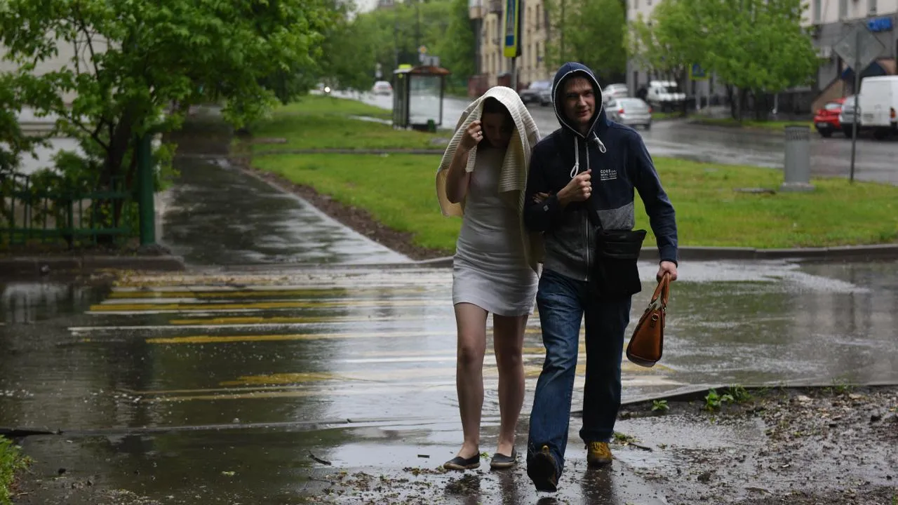 медиасток.рф