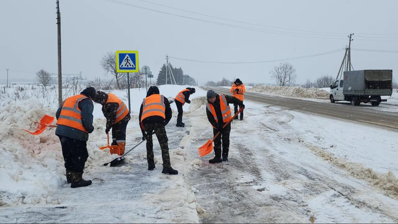 МедиаБанк Подмосковья/Дмитрий Беденко