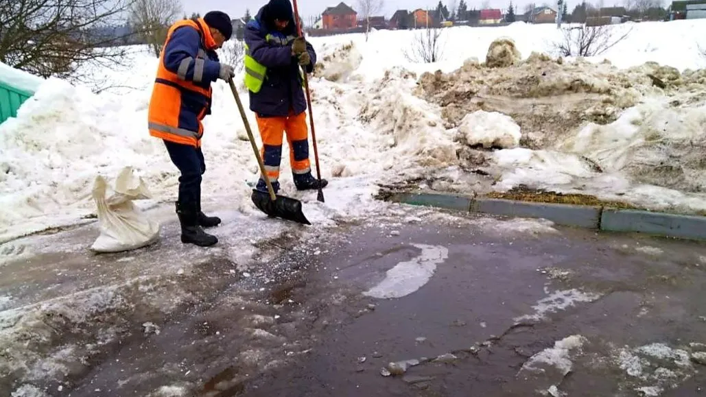 Фото: vk.com/Администрация городского округа Истра