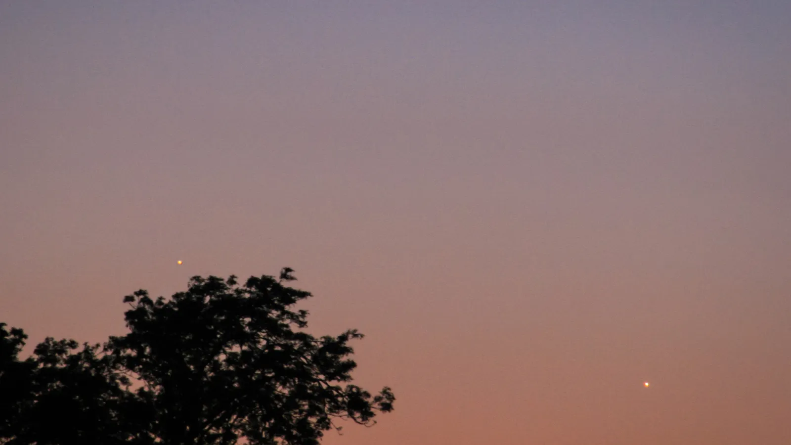 Фото: pxhere.com