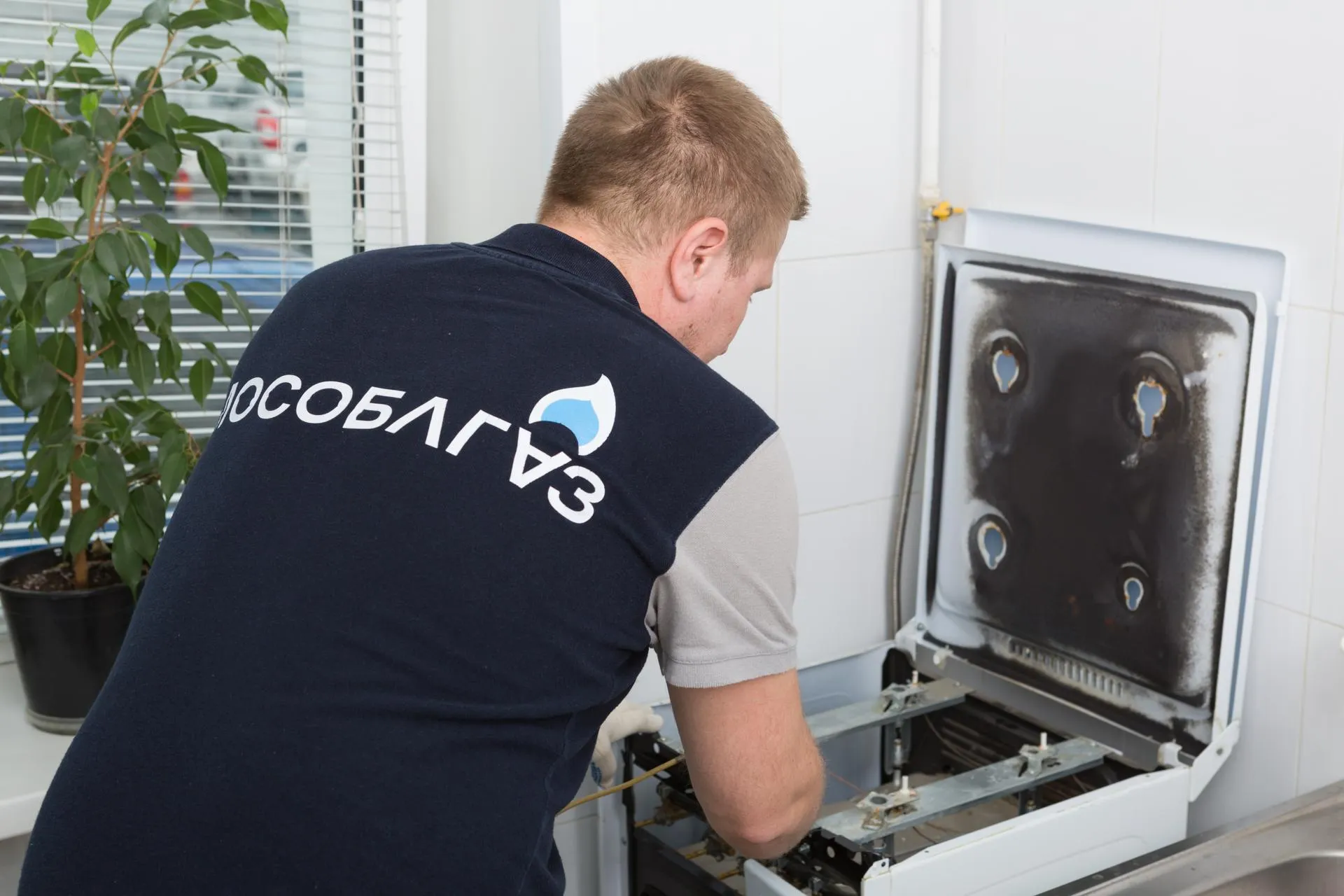 Фото: пресс-служба правительства Московской области