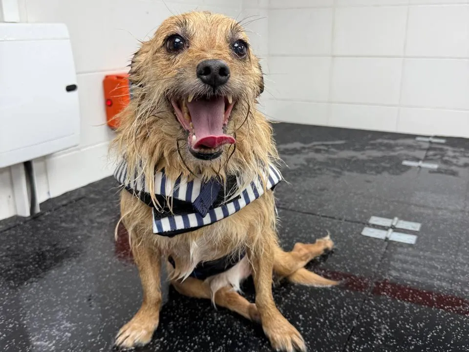 Фото: личный архив Виктории Вылковыской