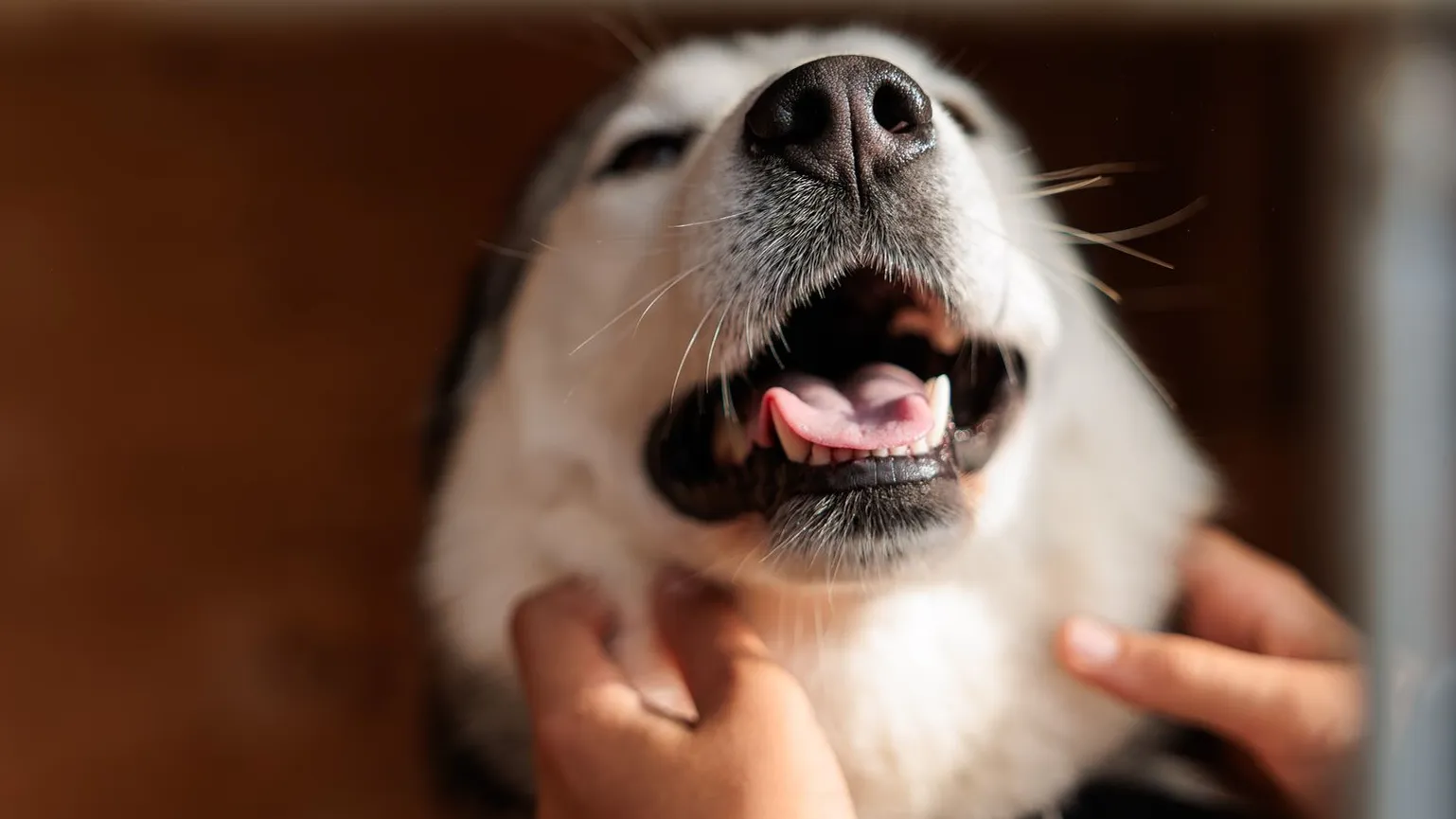 медиасток.рф