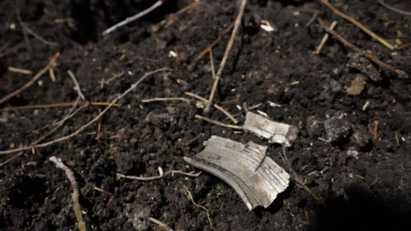 Гладков: один человек был ранен при обстреле Белгородской области