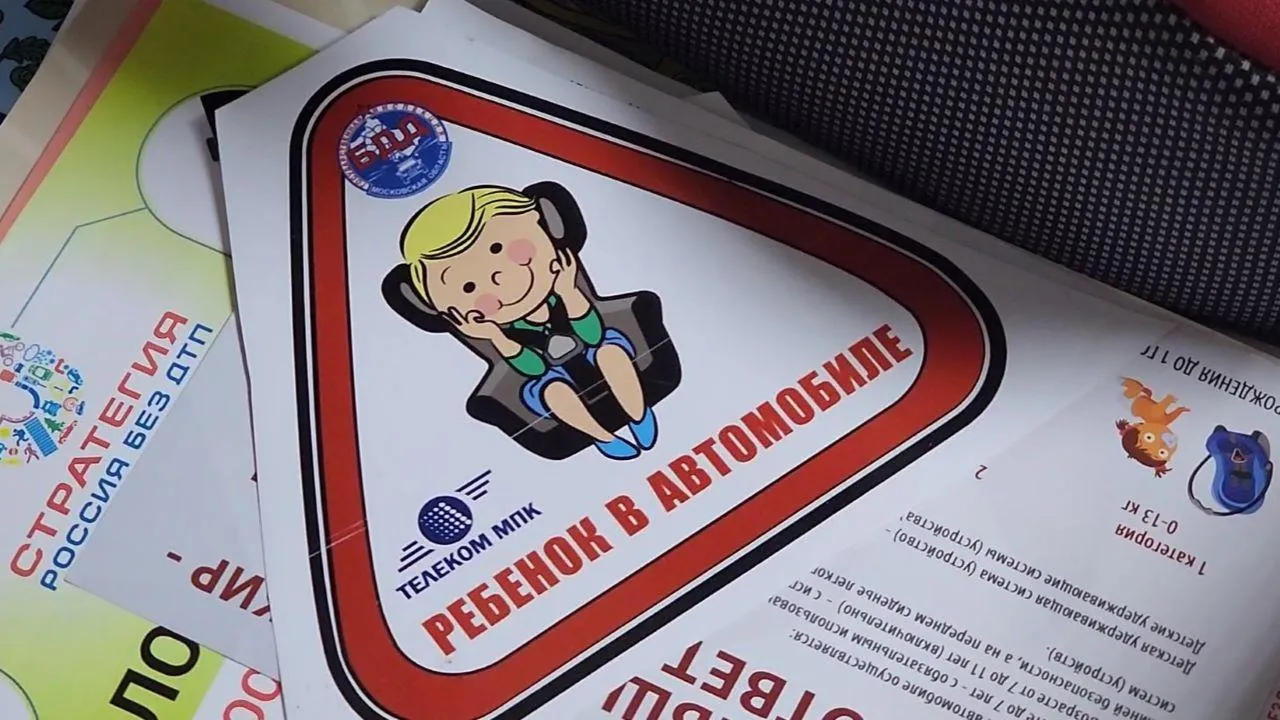 МедиаБанк Подмосковья/Арина Кузнецова