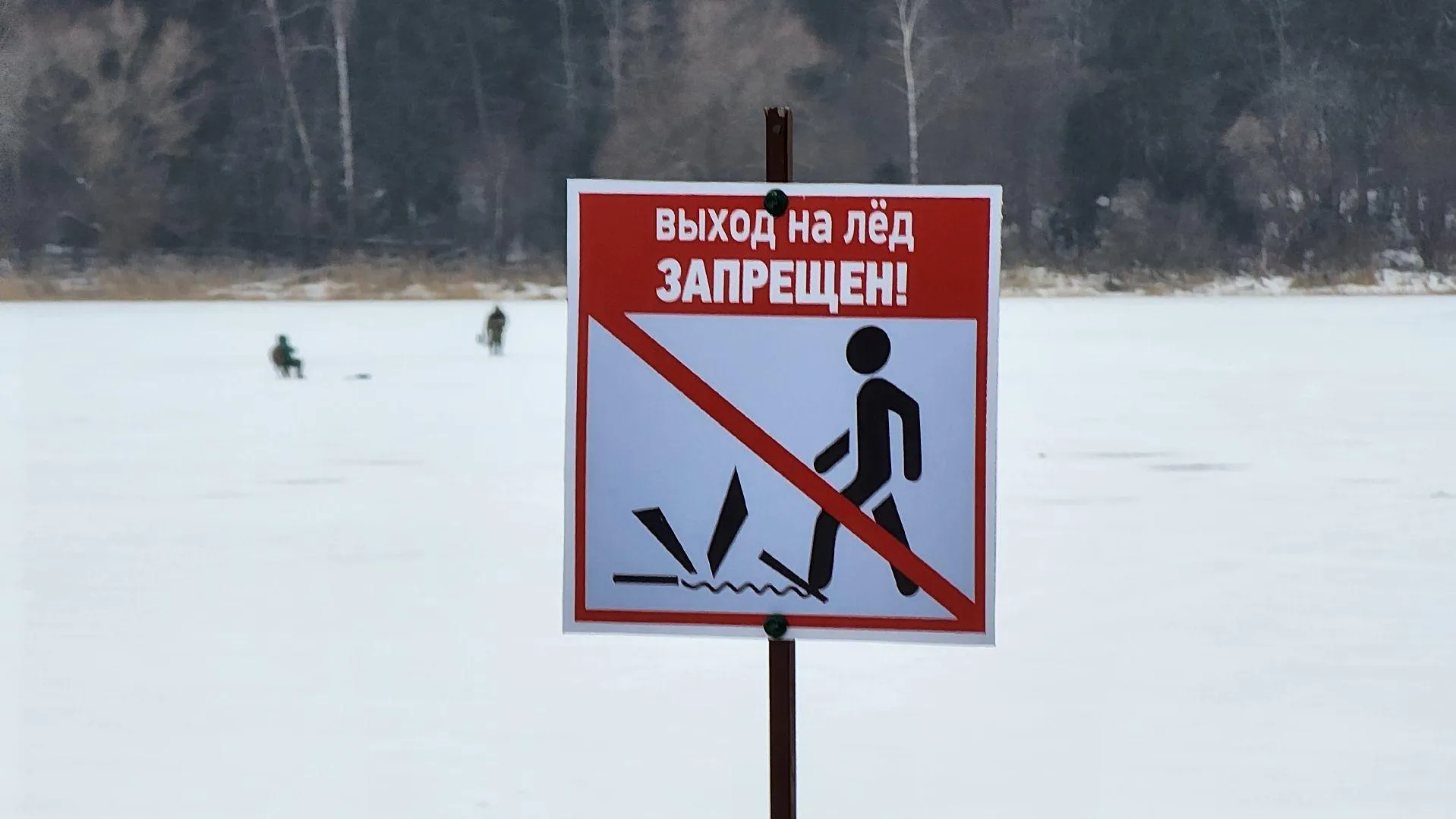 МедиаБанк Подмосковья/Екатерина Данилина