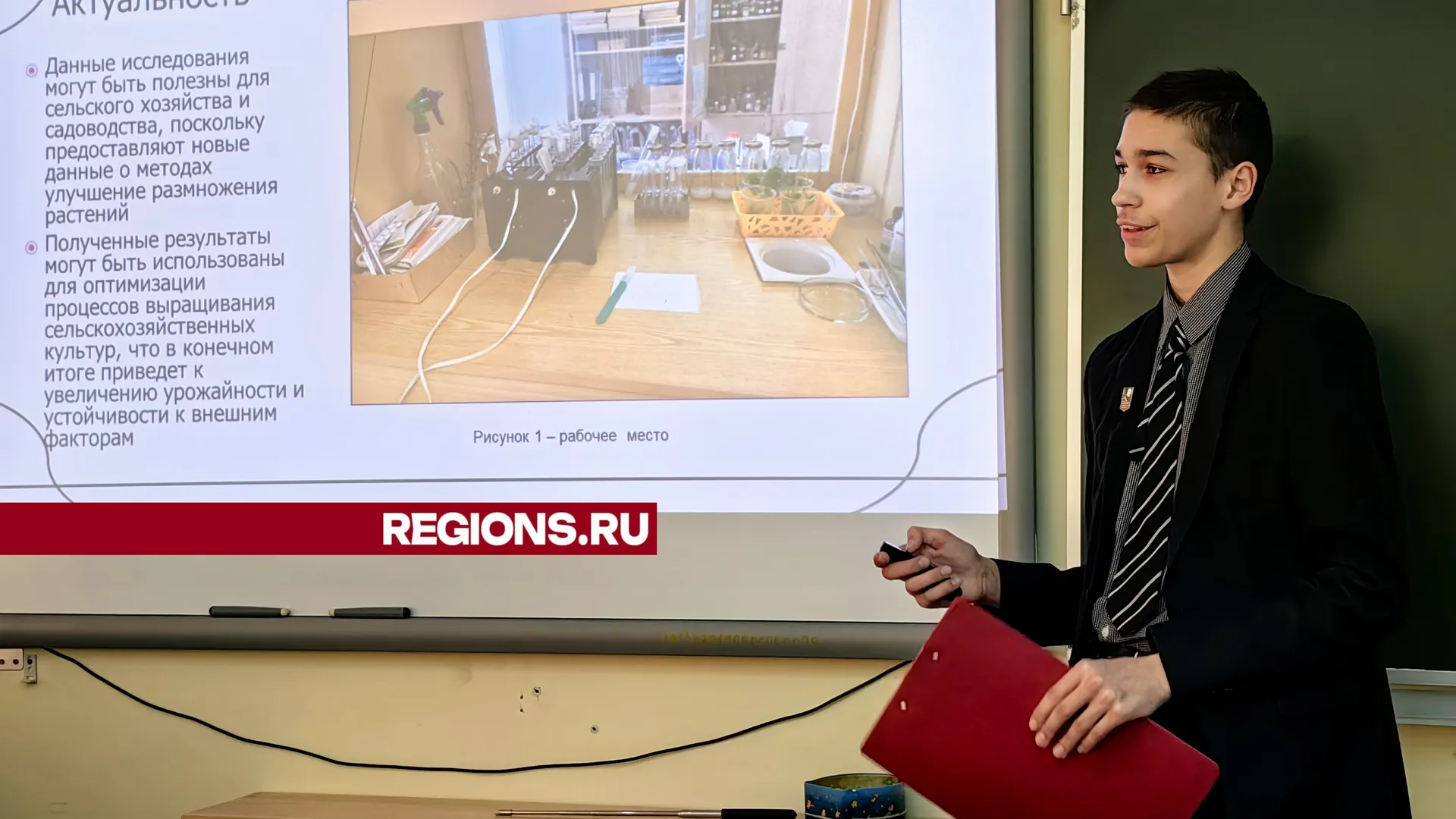 Фото: Елена Катасонова