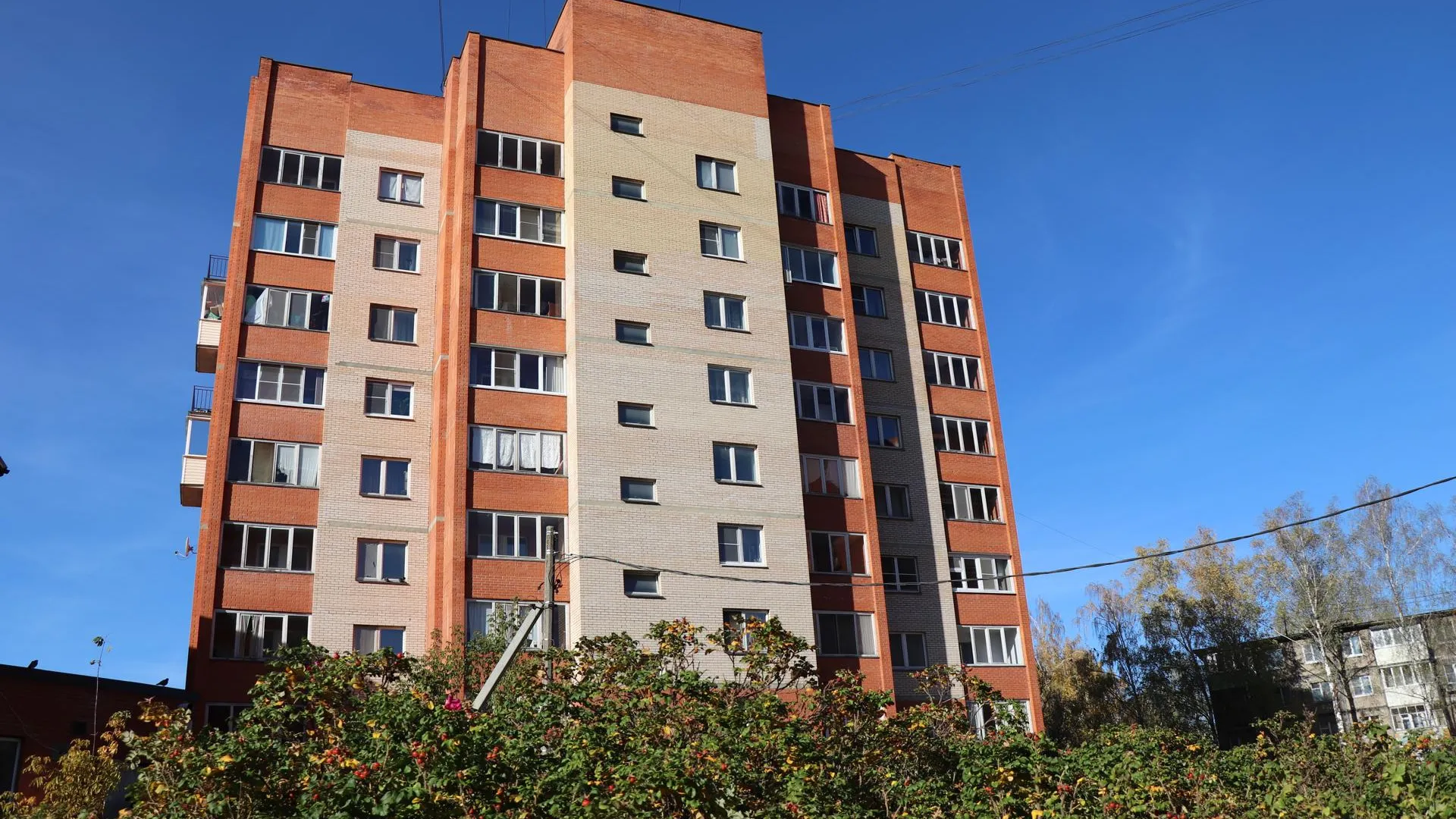 Фото: Василий Тремасов