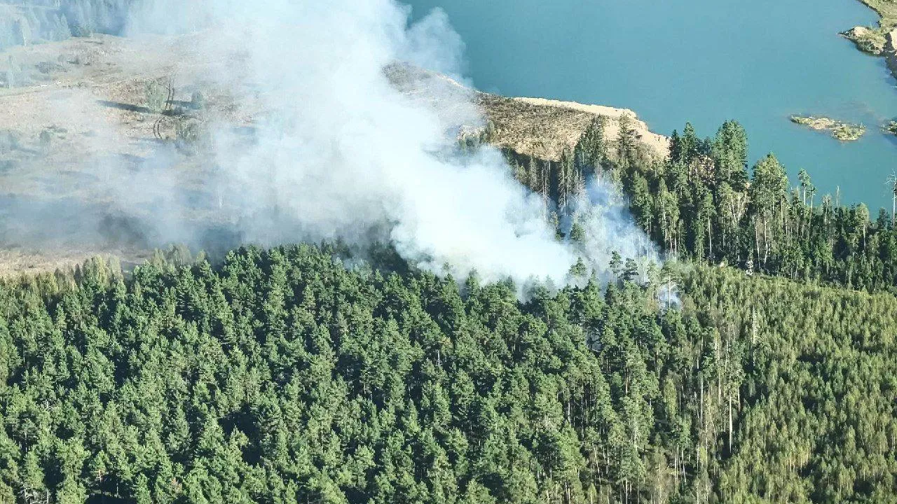 Фото: ГКУ МО «Мособлпожспас»