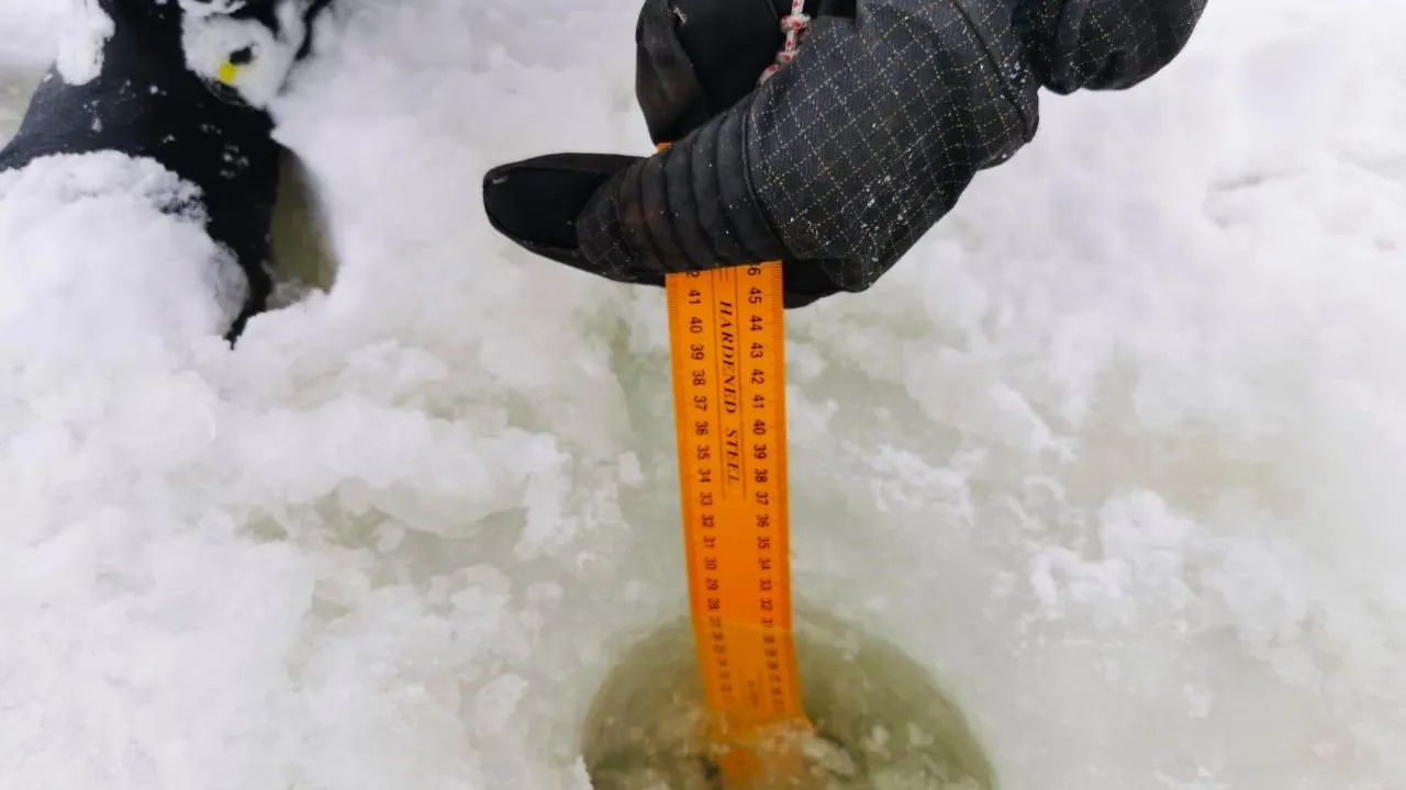 ГКУ МО «Мособлпожспас»