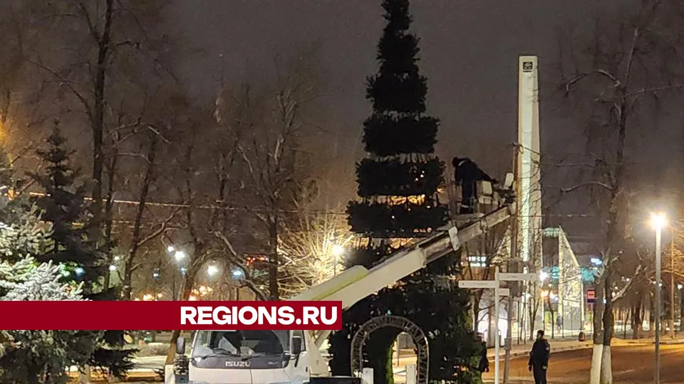 Фото: Андрей Семибратов