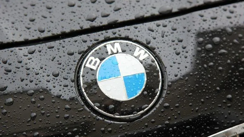  Одинцовец оторвал номерной знак у BMW жены хоккеиста Метлюка