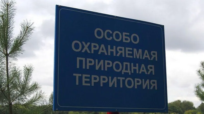 Шестьдесят четыре ООПТ обследуют в Подмосковье до конца года