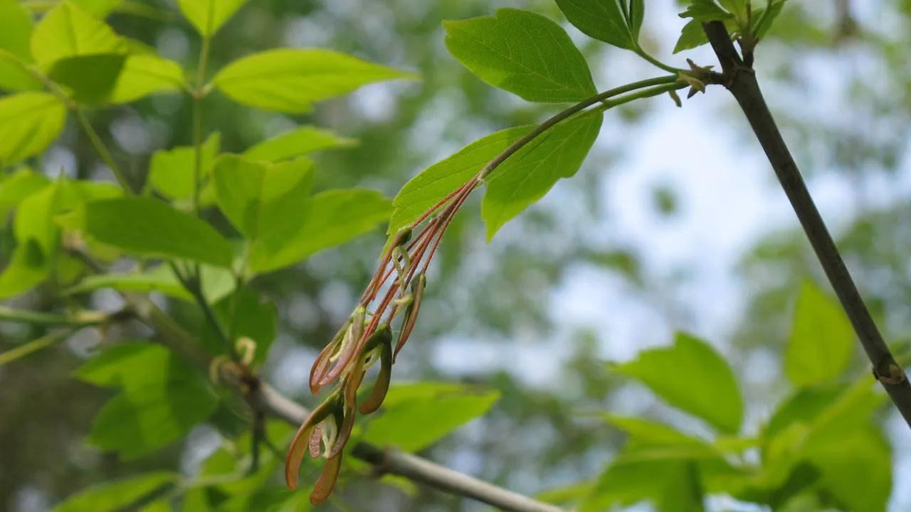 istockphoto.com/Annabell Hormann