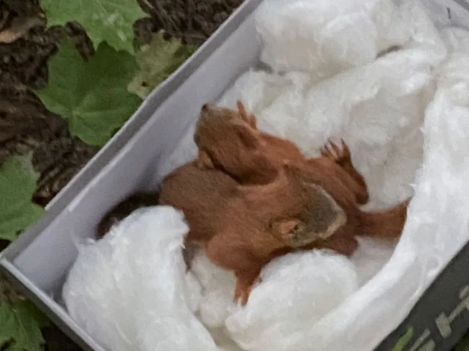 Фото: МедиаБанк Подмосковья/Мария Панина