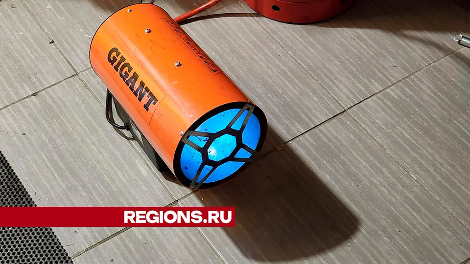 Фото: Светлана Плотникова