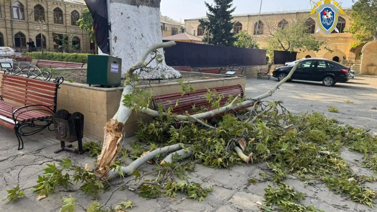 СУ СК России по Республике Дагестан