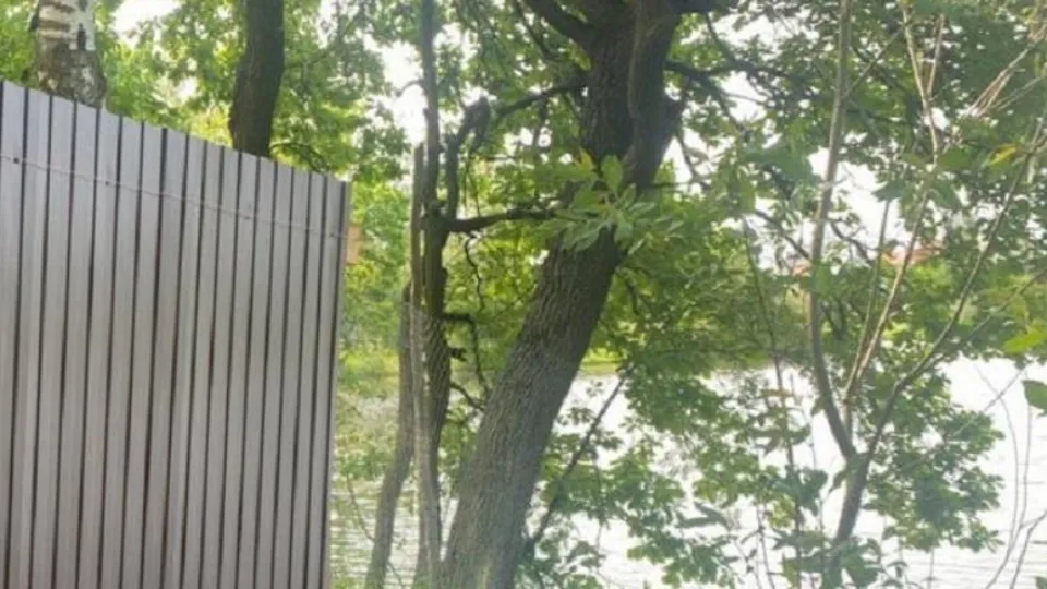 Фото: Министерство экологии и природопользования Московской области