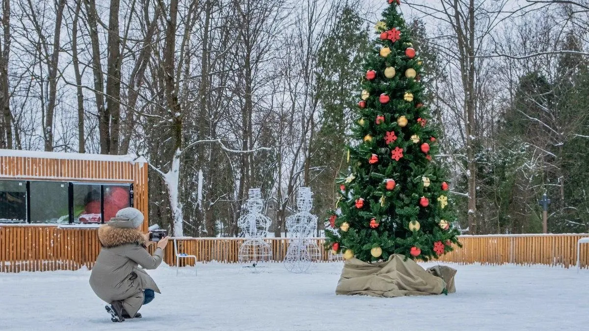 фото: Telegram-канал "Краснознаменск новости"