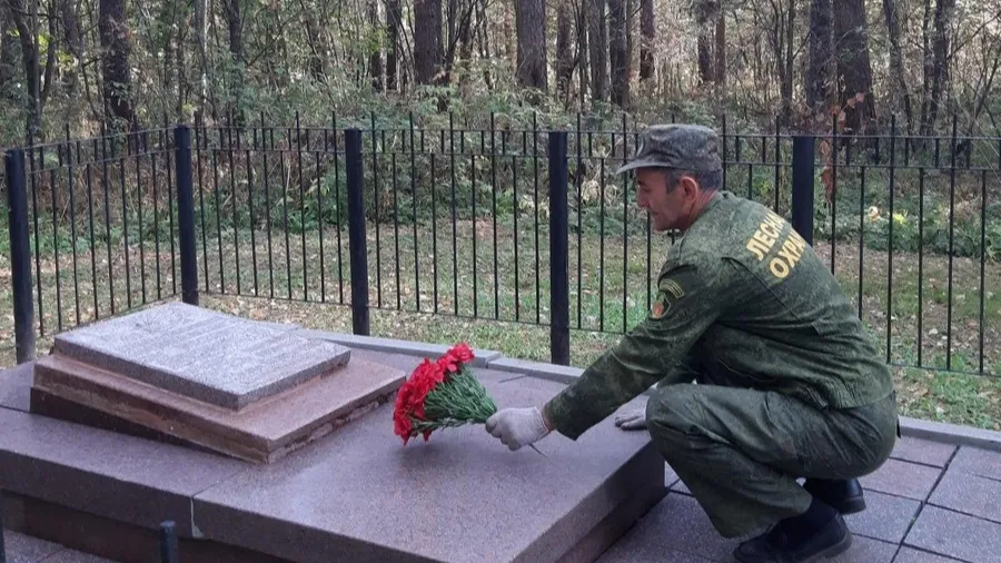 Фото: Комитет лесного хозяйства МО