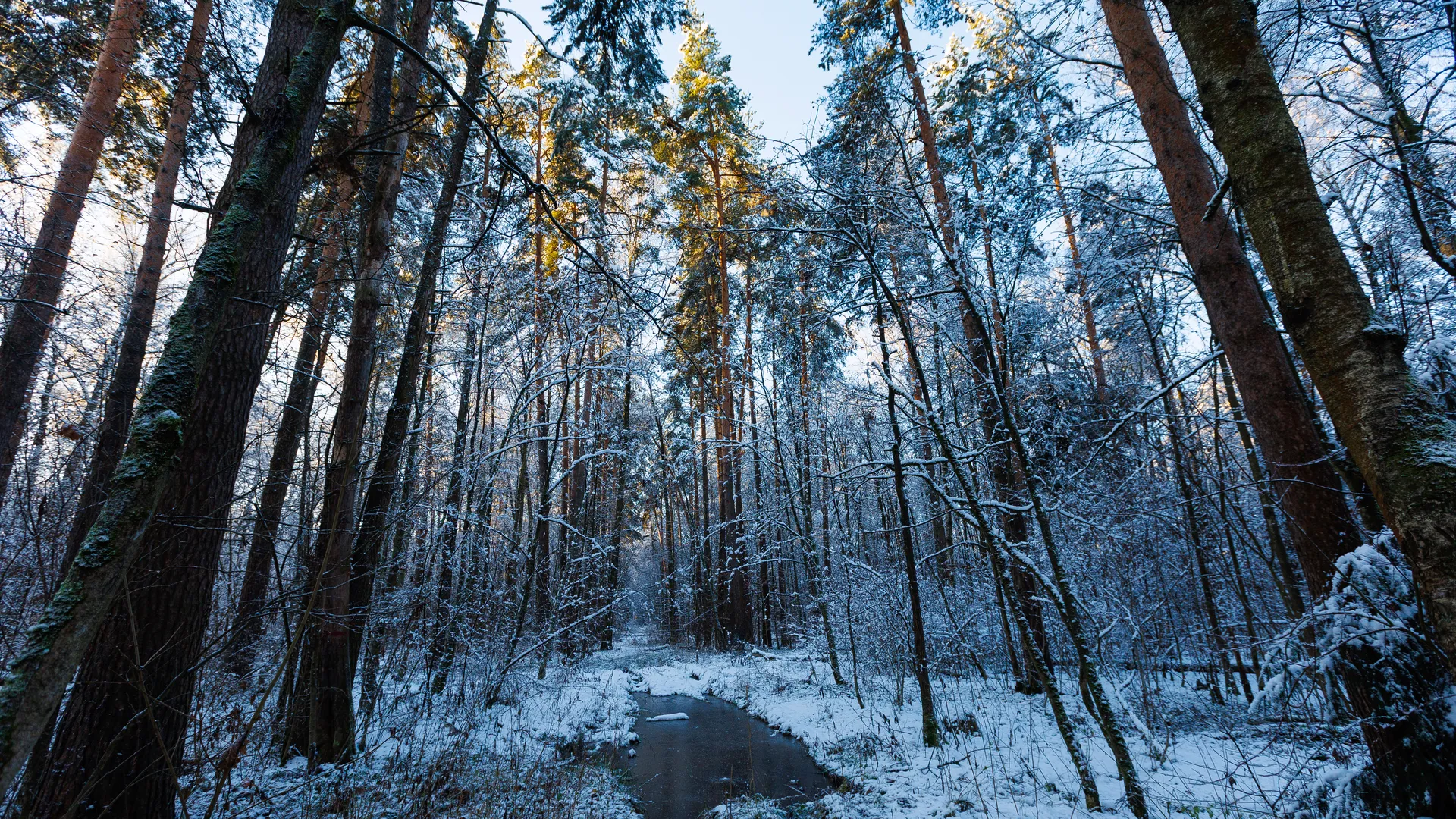 Зима наступила в Подмосковье