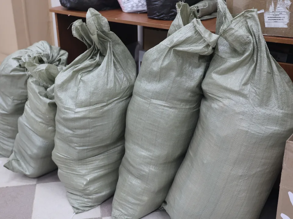 Фото: МедиаБанк Подмосковья/Наталья Котова