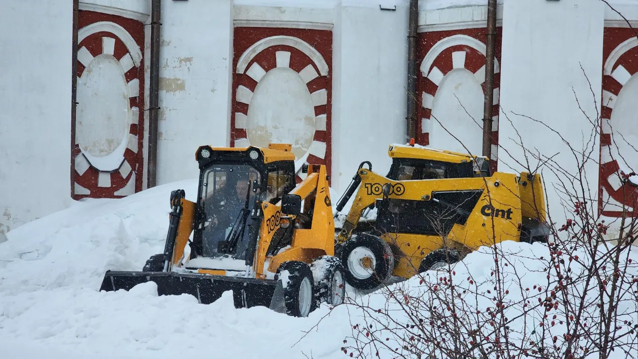 REGIONS/Яна Шаливская