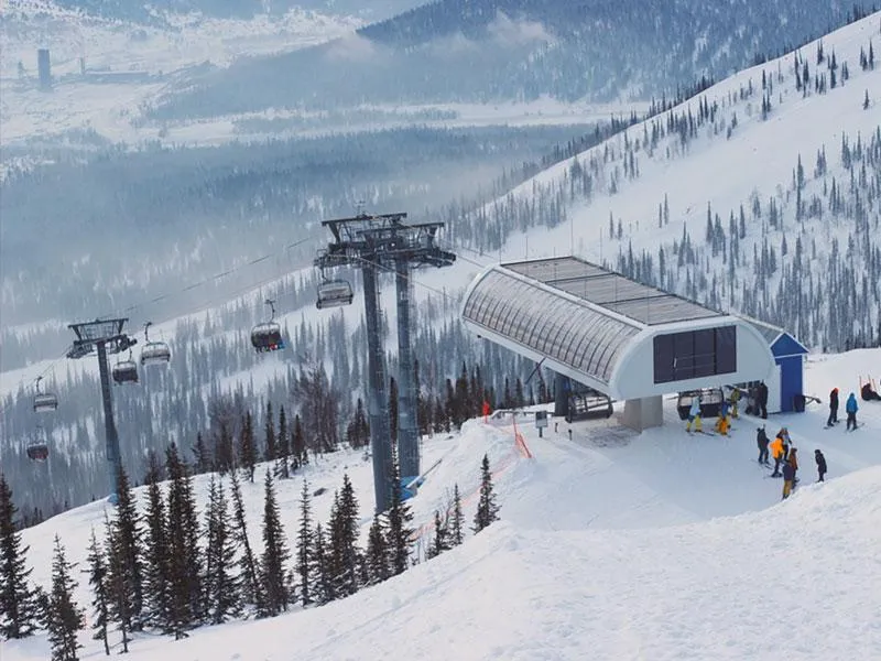 Фото соцсети.